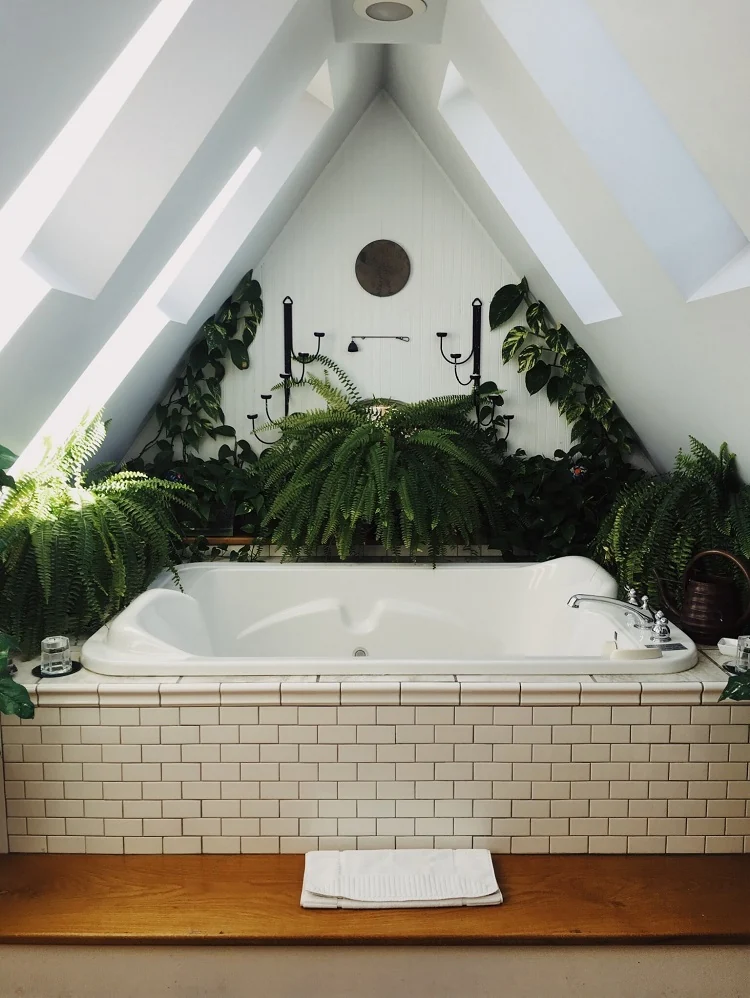 Décoration végétale murale intérieur salle de bains