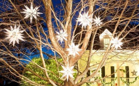 décorer un arbre extérieur pour Noël