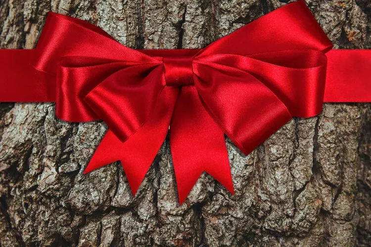 décorer une branche d arbre pour noël avec un noeud satiné en couleur rouge