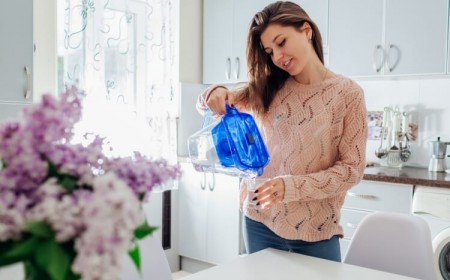 faire de l’eau distillée soi-même éliminer polluants chimiques bactéries champignons algues