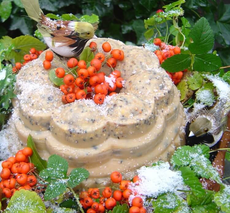 gâteau pour oiseaux pourquoi fabriquer conserver réfrigérateur