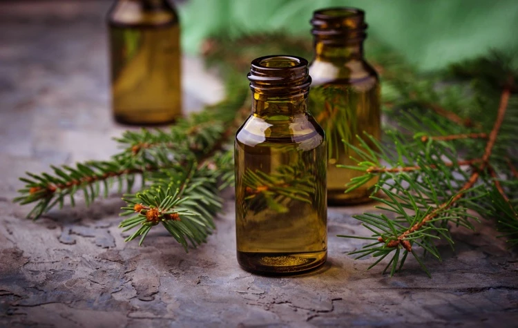 huiles essentielles pour la santé respiratoire sapin blanc bénéfique pour soigner rhume et infections pulmonaires