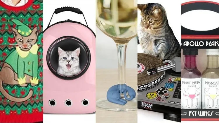 idées cadeaux personnalisés femme Noel 2021 intéressée chats aime animaux