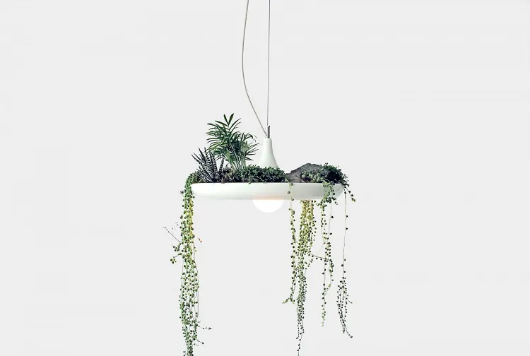 lampe avec des plantes vertes