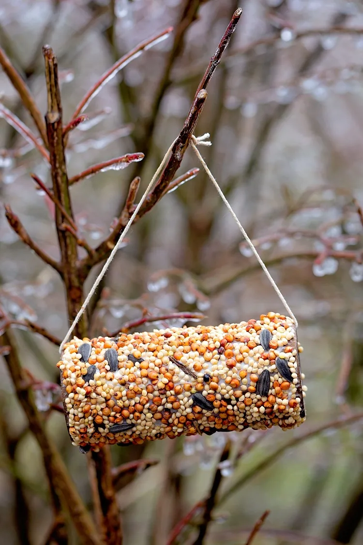 mangeoire à oiseaux papier toilette