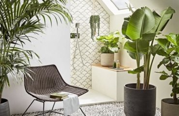 plante verte pour salle de bain 2022