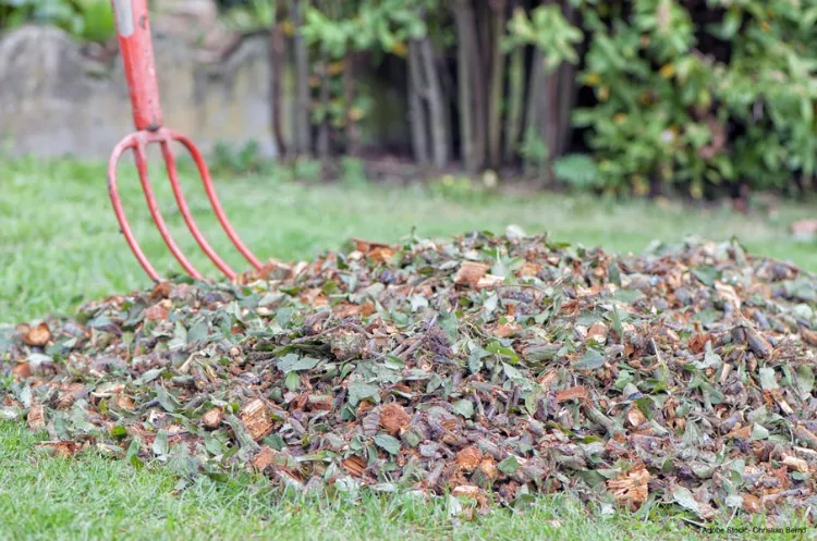 Peut-on bruler les déchets verts dans son jardin 2022