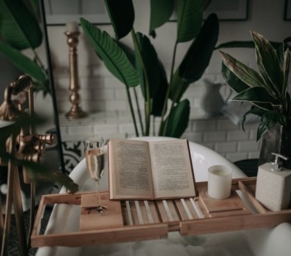 Plantes d interieur pour salle de bains