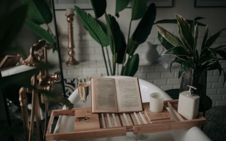 Plantes d interieur pour salle de bains