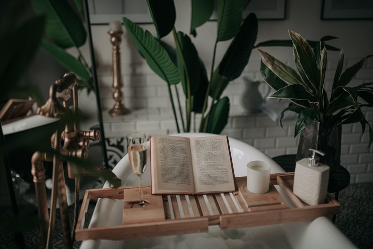 Plantes d interieur pour salle de bains