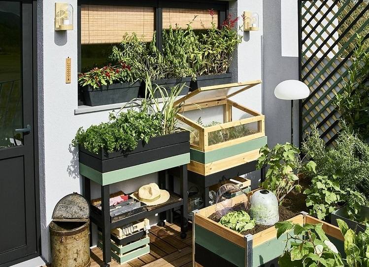 Potager au balcon que planter