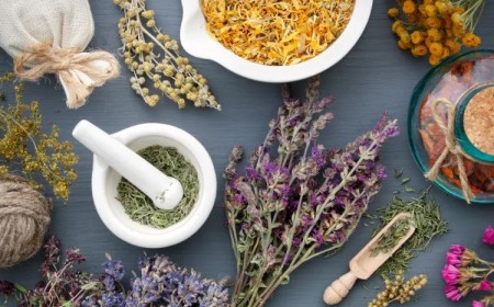 Quelle tisane contre hypertension 2022