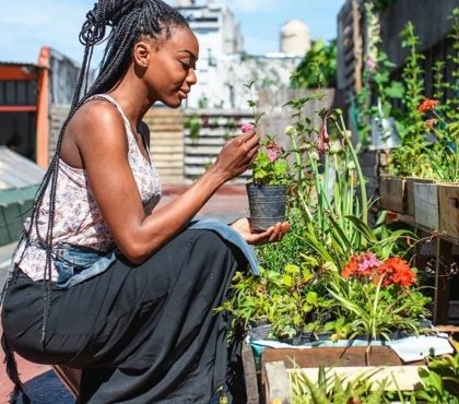 Upcycling et potager au balcon tendances ecologiques