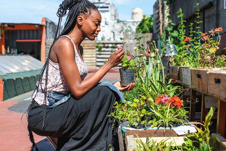 Upcycling et potager au balcon tendances ecologiques