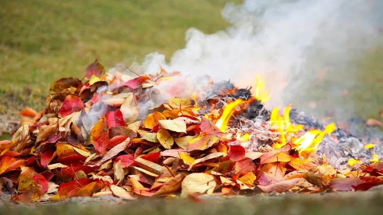 bruler les déchets verts dans le jardin que dit la loi 2022