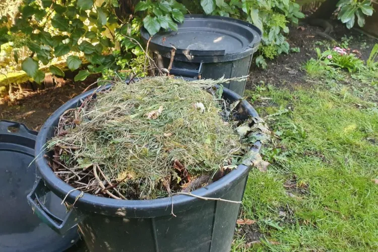 Brûler les déchets verts dans le jardin