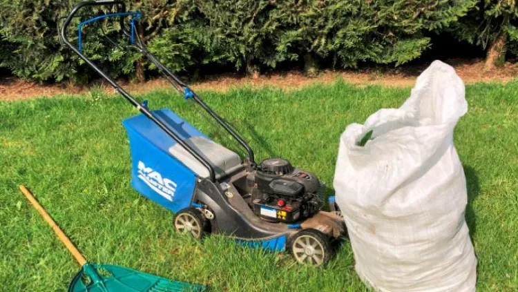 Brûler les déchets verts dans le jardin