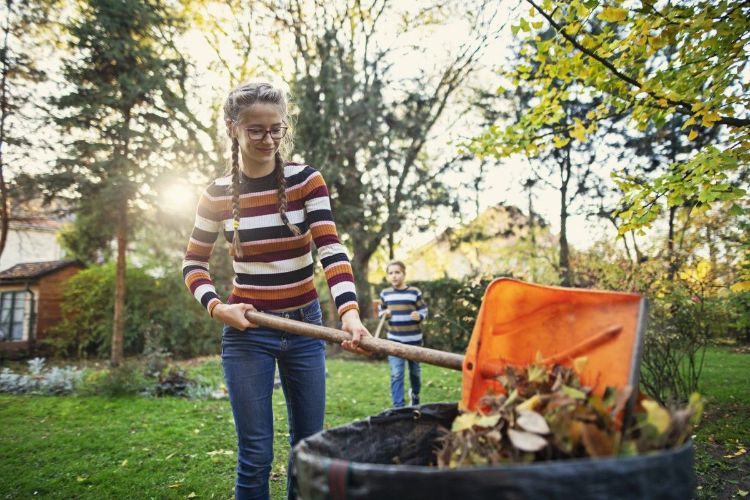 comment avoir un jardin respectueux de la nature 2022