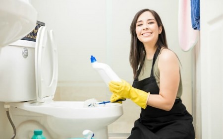 comment supprimer taches calcaires de la cuvette eau dure calcaire carbonate calcium