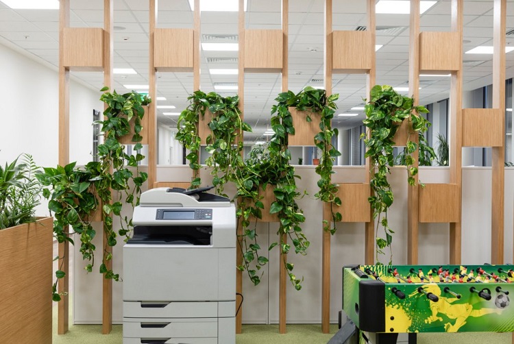 décoration du bureau avec des plantes