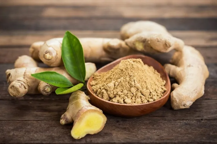 épice coupe-faim gingembre utilisé médecine traditionnelle remède naturel