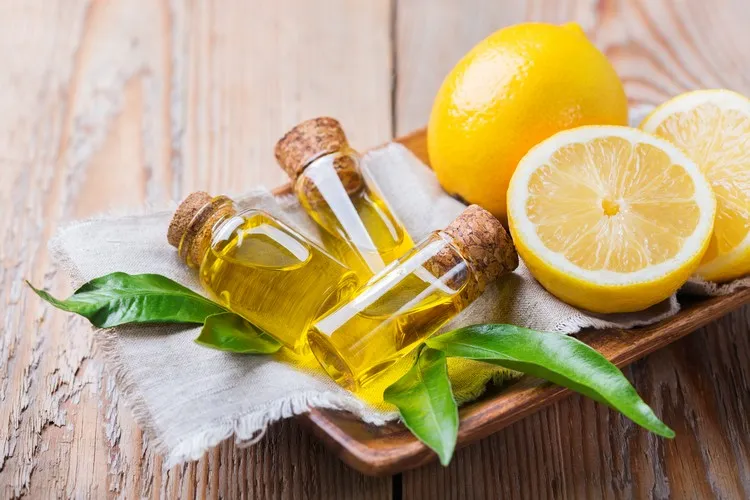 huile essentielle de citron pour maigrir conseils utilisation perte de poids