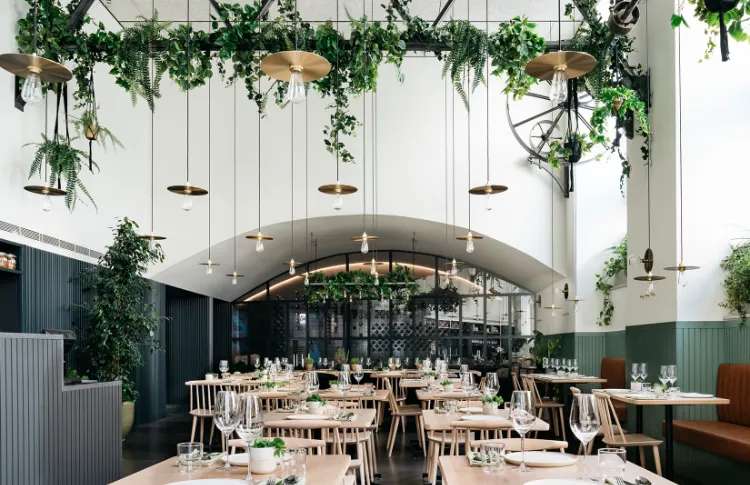 idées décoration plantes retombantes lampes suspension Prado-Lisbon-restaurants