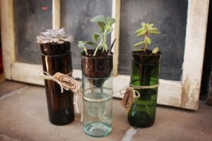 pot auto arrosant