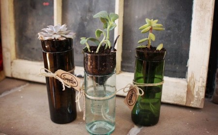 pot auto arrosant