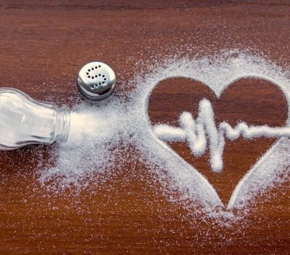 pourquoi le sel est un tel danger pour la santé 2022