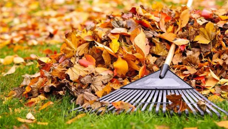 Brûler les déchets verts dans le jardin