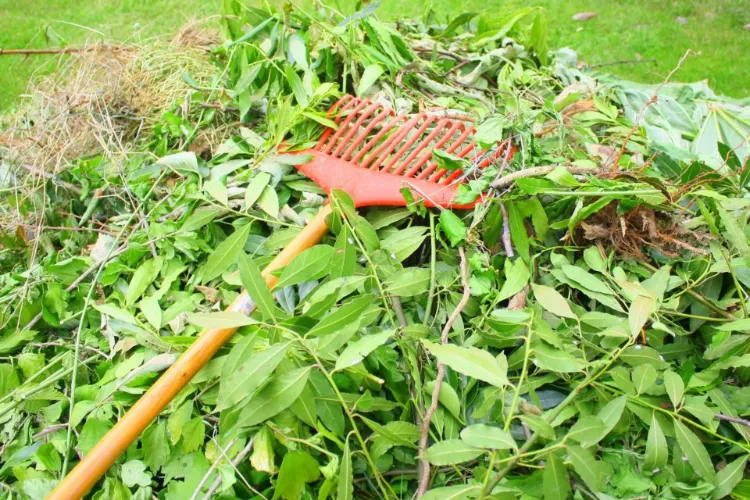 Brûler les déchets verts dans le jardin