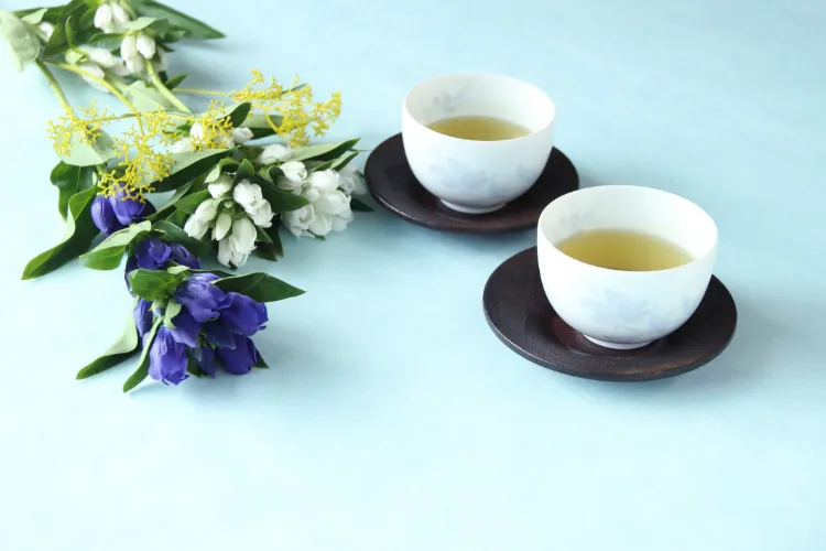 thé racine de gentiane jaune quelle tisane pour digestion infusions contre troubles digestifs