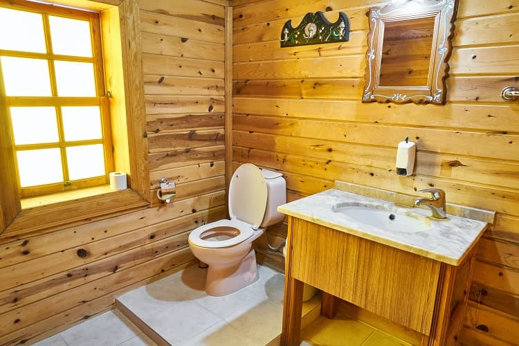 toilettes en bois tendance 2022