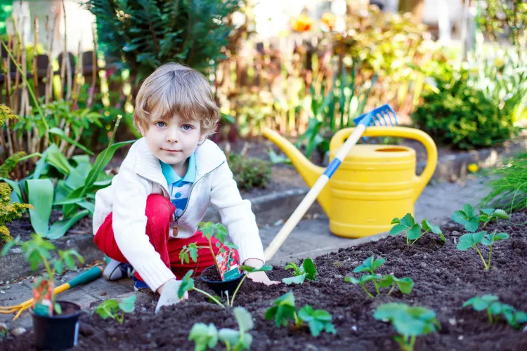 activités à faire dans le jardin jardiner avec enfants 2022
