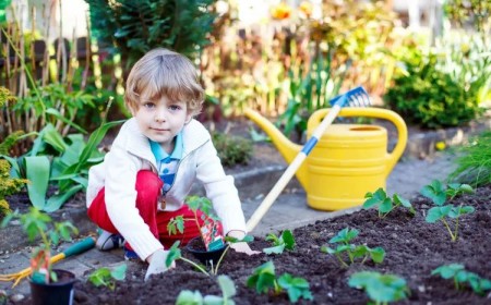 activités jardinage à faire avec des enfants 2022
