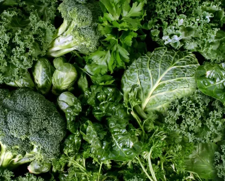 aliment laxatif naturel bon perte poids santé intestinale légumes feuilles vert foncé