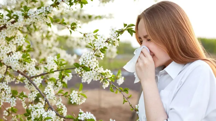 allergie aux pollens options traitement saison ratée
