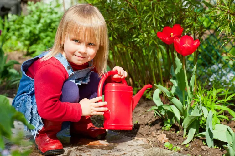 jardiner arroser les fleurs avec les enfants