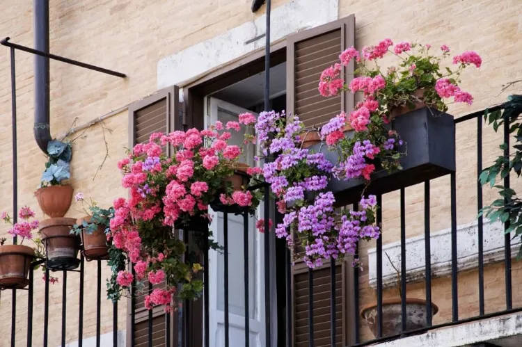 baloconières plantes fleurs retombantes comment créer jardin petit espace balcon