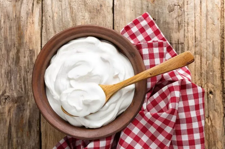bienfaits santé du yaourt bulgare 2022