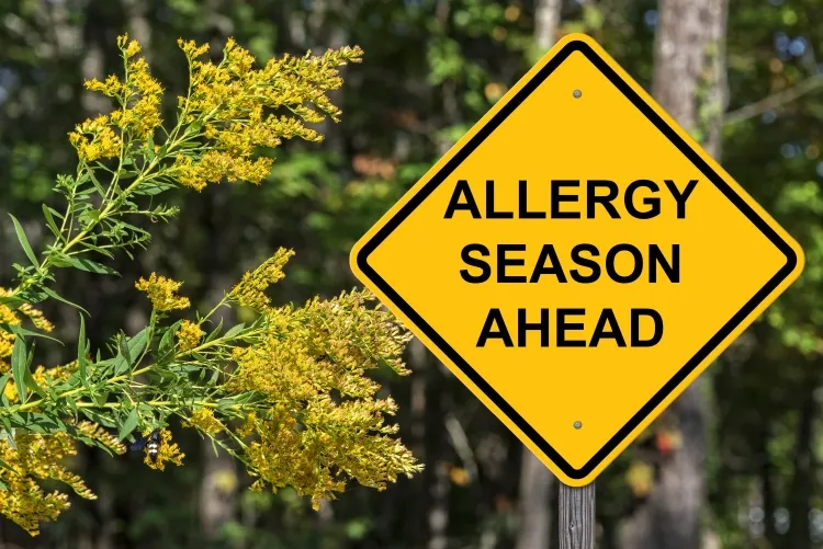 bulletin allergo-pollinique suivre conseils prévention rincer cheveux aérer pièces