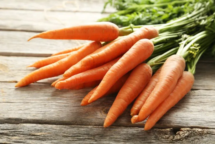 carottes pour mincir aliments zéro calorie 2022