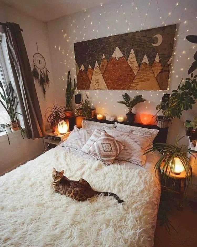 chat sur un lit dans un intérieur cocooning