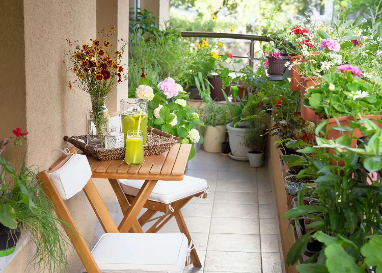comment créer un jardin petit espace astuces pour végétaliser balcon plantes pots