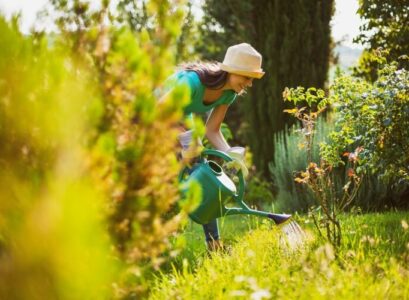 comment traiter les maladies et repousser les insectes sur les plantes naturellement astuces des experts
