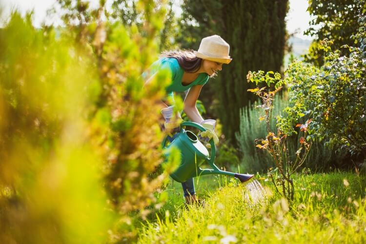 comment traiter les maladies et repousser les insectes sur les plantes naturellement astuces des experts