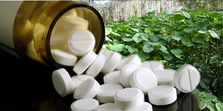 comment traiter les maladies fongiques sur les plantes avec aspirine