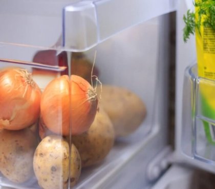 conserver pommes de terre au frigo qualités nutritives glucides fibres anti-oxydants
