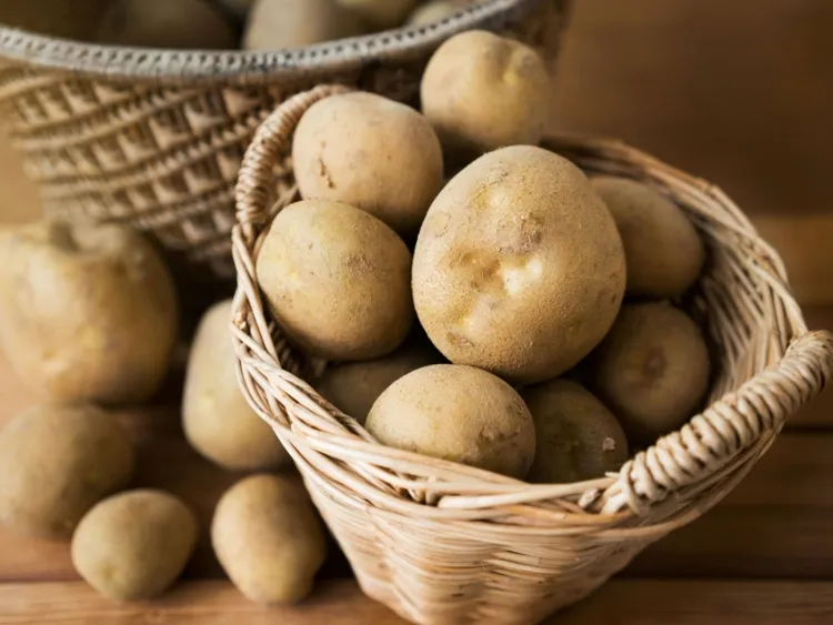 conserver pommes de terre épluchées maison chaude éviter germination mettre réfrigérateur